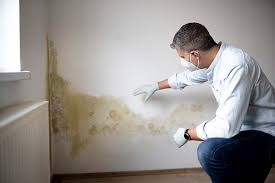 Mold Remediation for Rental Properties in Hampton Manor, NY